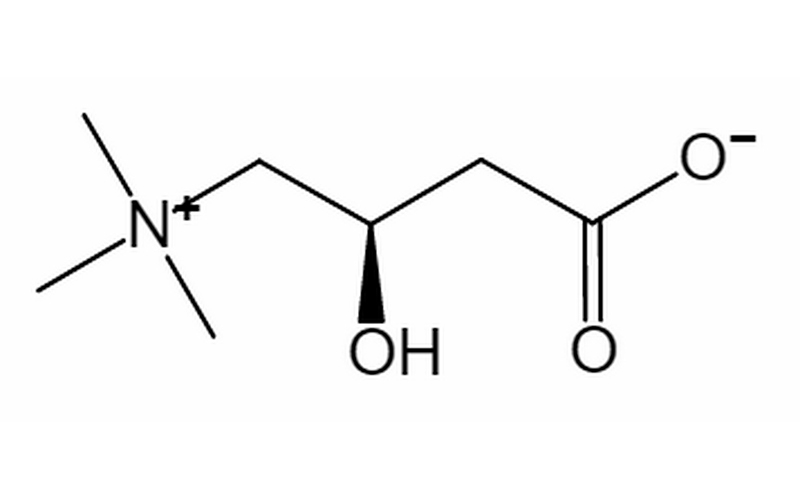 L-肉碱