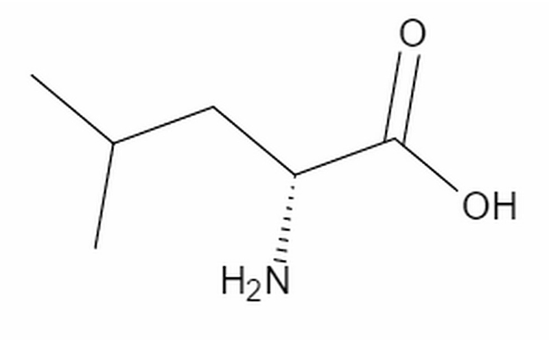 D-亮氨酸