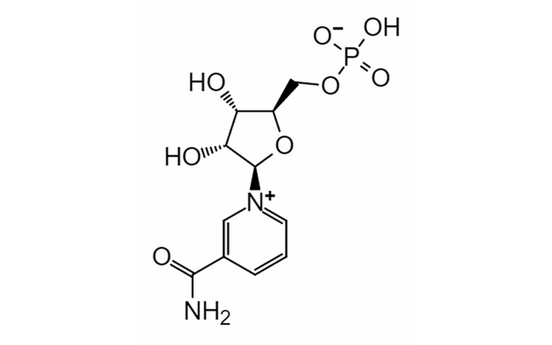 β-烟酰胺单核苷酸