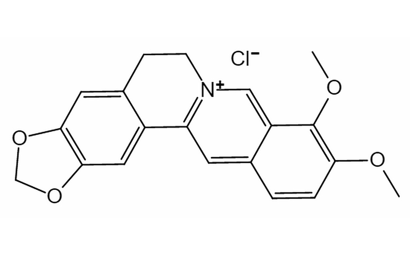 盐酸小檗碱（黄连素）